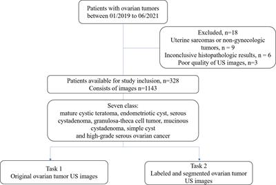 Deep convolutional neural networks for multiple histologic types of ovarian tumors classification in ultrasound images